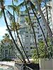 Diamond Head Apartments - Honolulu, Hawaii Real Estate Condo Guide for Oahu