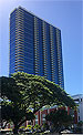 Hawaii Condos - Collection